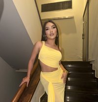🇹🇭 Jasmine B available 🇹🇭 - Transsexual escort in Abu Dhabi