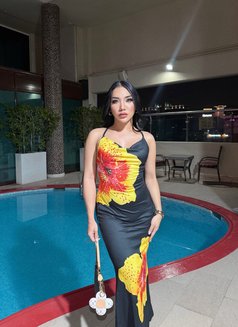 🇹🇭 Jasmine B available 🇹🇭 - Transsexual escort in Abu Dhabi Photo 15 of 15