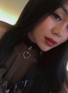 jasmine - Acompañantes transexual in Angeles City Photo 16 of 18