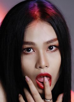 Jasmine’s Ladyboy Mabellah - Transsexual escort in Muscat Photo 5 of 7