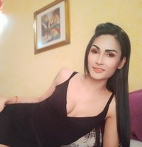 Jasmine shemale - Transsexual escort in Al Manama
