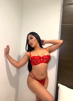 Jasmine Tasty Sexy Good ass cum - Transsexual escort in Abu Dhabi Photo 3 of 14