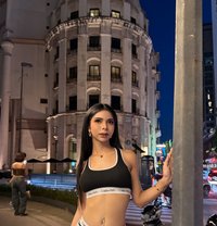 Jasmine Th - Transsexual escort in Abu Dhabi