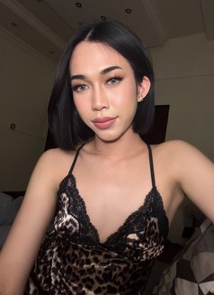Jasmine - Acompañantes transexual in Doha Photo 5 of 6