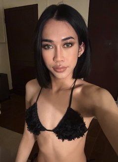 Jasmine - Transsexual escort in Doha Photo 8 of 8
