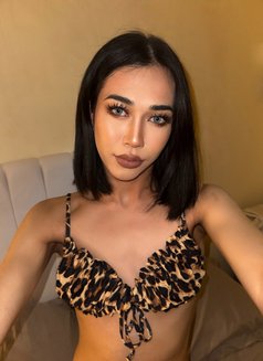 Jasmine - Transsexual escort in Doha Photo 3 of 7
