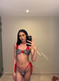 Jasmine - Acompañantes transexual in Doha Photo 4 of 9