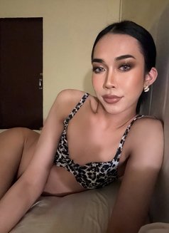 Jasmine - Acompañantes transexual in Doha Photo 3 of 9