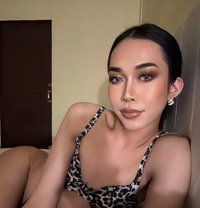 Jasmine - Acompañantes transexual in Doha