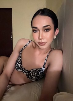 Jasmine - Acompañantes transexual in Doha Photo 2 of 9