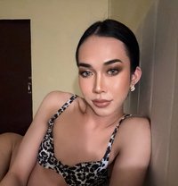 Jasmine - Acompañantes transexual in Doha