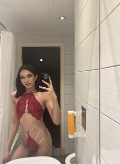 Jasmine - Acompañantes transexual in Doha Photo 1 of 8