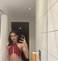 Jasmine - Transsexual escort in Doha