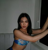 Jasmine - Transsexual escort in Doha