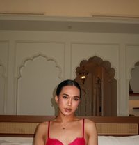 Jasmine - Transsexual escort in Doha