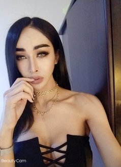 Jasmine - Transsexual escort in Dubai Photo 4 of 6