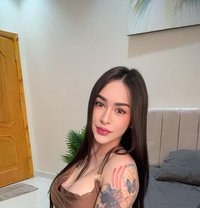 Jasmine Thailand - Transsexual escort in Jeddah