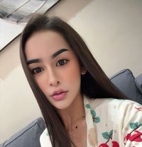Jasmine Thailand - Transsexual escort in Jeddah