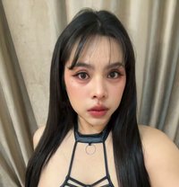 Jasmine Top&bottom πΉπ - Transsexual escort in Al Manama