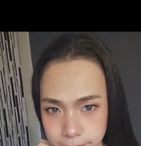 Jasmine23Shemale - Transsexual escort in Khobar