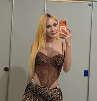 Jasminsmail cum big cock - Transsexual escort in Bangkok Photo 30 of 30