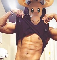 Jay Mac Daddy - Male escort in Colombo