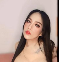 Jazzy Ladyboy - Transsexual escort in Muscat