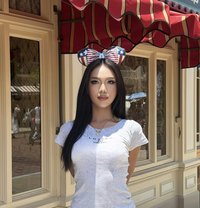 Jazzy - Transsexual escort in Bangkok