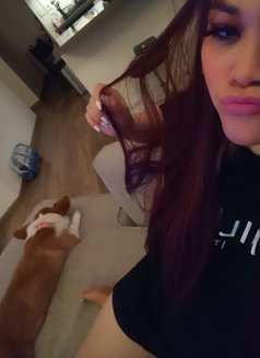 Jd9 - escort in Dubai Photo 9 of 10