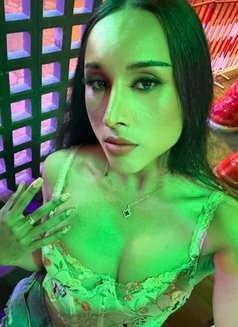 Jeab69 - Transsexual escort in Krabi Photo 5 of 5