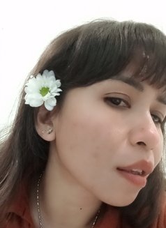 Jeanny - escort in Singapore Photo 1 of 13