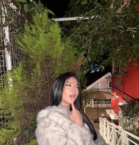 Jedolls - Acompañantes transexual in Manila