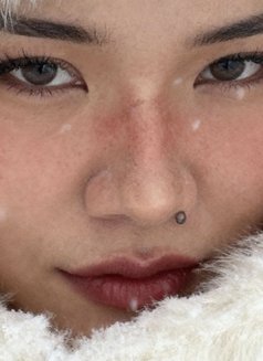 Jeeppy - masseuse in Phuket Photo 20 of 20