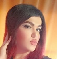 Jehan22 - Transsexual escort in Damascus