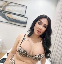 Jejees kind and good top - Transsexual escort in Riyadh