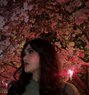 Jen ( Limited Days Only ) - Transsexual escort in Iwakuni Photo 4 of 4