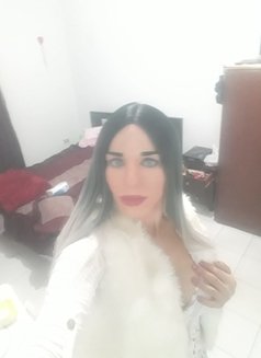Jeni - Transsexual escort in Beirut Photo 8 of 23