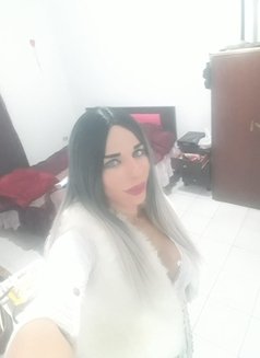 Jeni - Transsexual escort in Beirut Photo 10 of 23