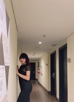 Jenifer Imanuela - Transsexual escort in Bali Photo 9 of 12
