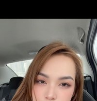 Jenifer New Here - escort in Al Manama