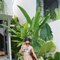 Jenna - escort in Bali Photo 2 of 6