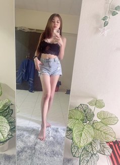 Jennie Sexy Ladyboy Thailand - Transsexual escort in Bangkok Photo 6 of 7