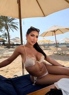 Jennifer Sexy So Hot Cim 69 - Acompañantes transexual in Abu Dhabi Photo 18 of 20