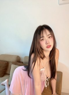 Outcall only - escort in Seoul Photo 5 of 11