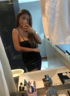 Kathryn Just Arrived Available now - escort in Bangkok Photo 1 of 25