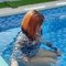 JENNY BEST IN DEEPTHROAT - escort in Abu Dhabi Photo 2 of 9
