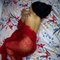 “Temptation Has a Name: Jennifer” - escort in Abu Dhabi Photo 4 of 9