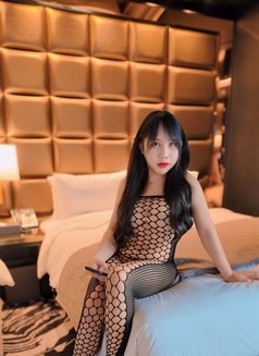 Jenny Can Top and Bottom - Acompañantes transexual in Bangkok Photo 1 of 7