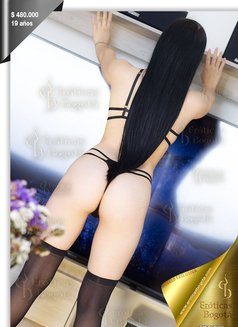 Jenny Eroticas - escort in Bogotá Photo 12 of 13