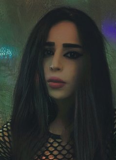 Jenny - Transsexual escort in Beirut Photo 6 of 7